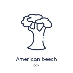american beech tree icon from nature outline collection. Thin line american beech tree icon isolated on white background.
