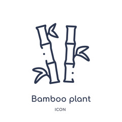 bamboo plant from japan icon from japan icon from nature outline collection. Thin line bamboo plant from japan icon isolated on white background.