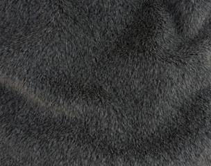 beautiful luxury short soft fur background gray color, elegant gray shot hair use for background texture, abstract animal fur background with dynamic curve, gray background texture for luxury product