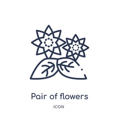pair of flowers icon from nature outline collection. Thin line pair of flowers icon isolated on white background.