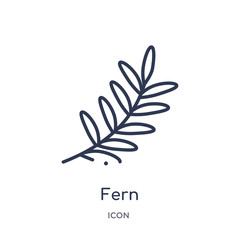 fern icon from nature outline collection. Thin line fern icon isolated on white background.