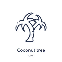 Fototapeta na wymiar coconut tree standing icon from nature outline collection. Thin line coconut tree standing icon isolated on white background.