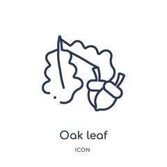 oak leaf icon from nature outline collection. Thin line oak leaf icon isolated on white background.