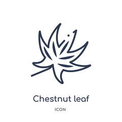 chestnut leaf icon from nature outline collection. Thin line chestnut leaf icon isolated on white background.