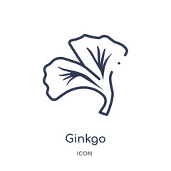 ginkgo icon from nature outline collection. Thin line ginkgo icon isolated on white background.
