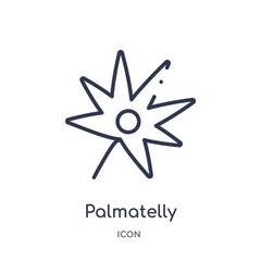 palmatelly icon from nature outline collection. Thin line palmatelly icon isolated on white background.