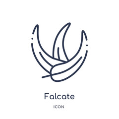 Obraz premium falcate icon from nature outline collection. Thin line falcate icon isolated on white background.