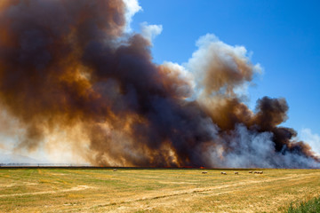 Fototapeta na wymiar A stubble fire or burn-off creates a huge smoke cloud but is over in a flash on a farm in Canterbury, New Zealand