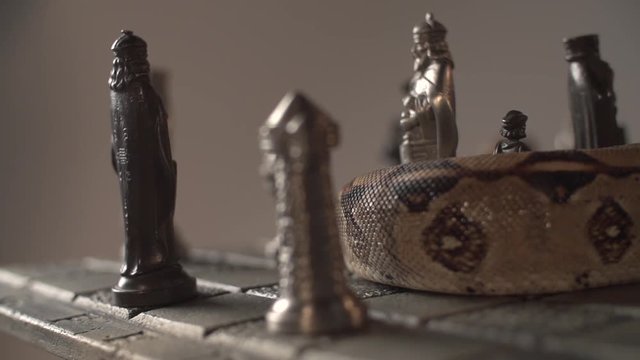 Close up pan of iron chess board with figures and a snake on top. Super slow motion