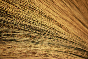 Close Up of thai grass broom background,.Texture of the bamboo grass