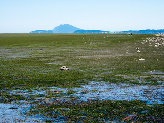 Low tide coastal scenery at Bay View State Park, WA, USA, with views across Padilla Bay to San Huan Islands