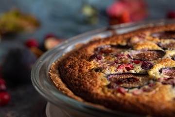 fig and cranberry tart