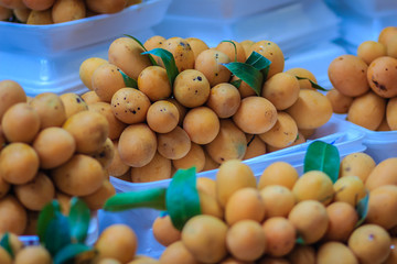 Plango fruit or Marian Plum, famous tropical fruit in Thailand for sale. Tropical fruit Marian plum, Plango, Maprang or Mayongchid (Bouae bumanica Griff)