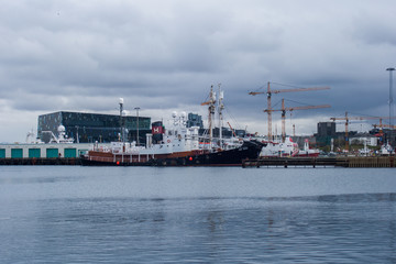 ship in the port