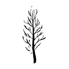 Fototapeta premium Tree silhouette. Hand drawn vector illustration.