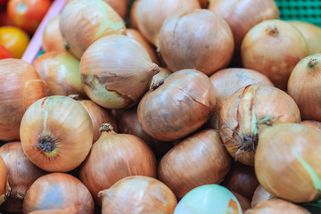 Extra jumbo size of bulb onion or common onion for sale at the fresh market. The onion is a vegetable and is the most widely cultivated species of the genus Allium.