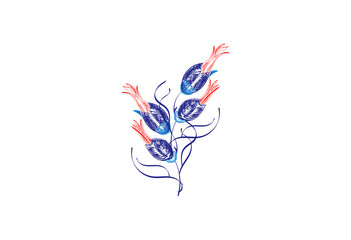 Ottoman Turkish Islamic art vector floral ornate illustration. Turkish Tulip isolated