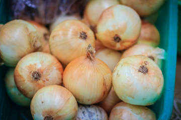 Extra jumbo size of bulb onion or common onion for sale at the fresh market. The onion is a vegetable and is the most widely cultivated species of the genus Allium.