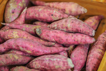 Organic Japanese sweet potatoes for sale at the local fresh market with price tag. Roasted sweet potato is a popular winter street food in East Asia. Purple and yellow sweet potatoes on sale.