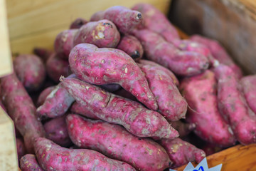 Organic Japanese sweet potatoes for sale at the local fresh market with price tag. Roasted sweet potato is a popular winter street food in East Asia. Purple and yellow sweet potatoes on sale.