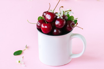 Fresh ripe cherries in a white bowl on a pink background.