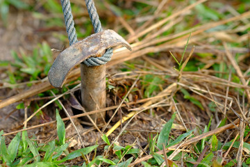 Obraz premium nature landscape anchor land on camping tent with green rope and green grass in jungle or forest for trekking picnic on holiday relax and vacation travel on autumn winter or summer.