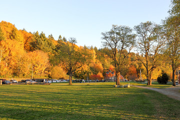 relaxing afternoon at Golden gardens park, Seattle Washington