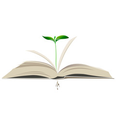 young plant in an open book. vector illustration
