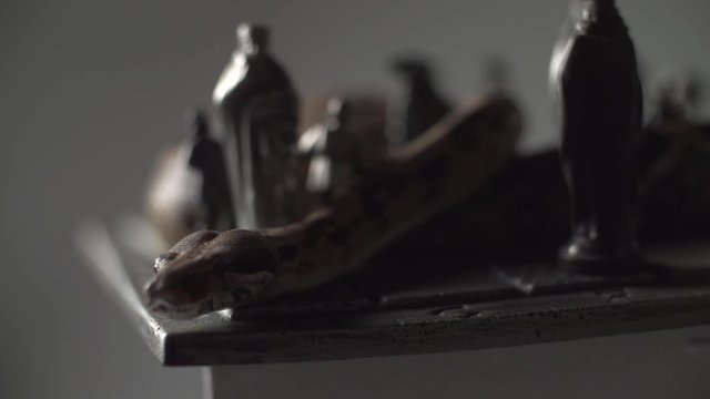 Snake on iron chess board with figures . Super slow motion