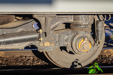 Vintage old train wheel with small tree on the rusty railway.