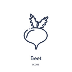 beet icon from thanksgiving outline collection. Thin line beet icon isolated on white background.