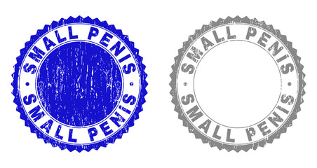 Grunge SMALL PENIS stamp seals isolated on a white background. Rosette seals with grunge texture in blue and gray colors. Vector rubber stamp imitation of SMALL PENIS title inside round rosette.
