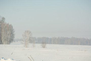 Snowy field Winter landscape. Frosty day. Russian winter nature.