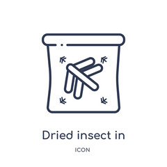 dried insect in amber icon from stone age outline collection. Thin line dried insect in amber icon isolated on white background.