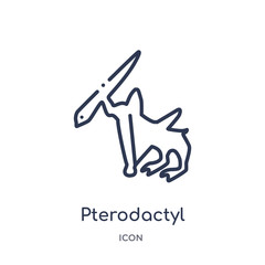pterodactyl icon from stone age outline collection. Thin line pterodactyl icon isolated on white background.