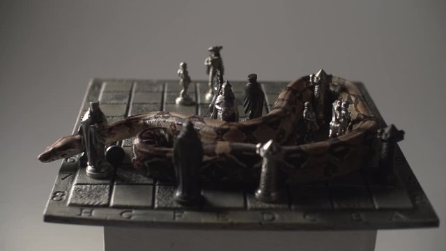 Snake Python crawling on vintage iron chess board. Studio white background in super slow motion