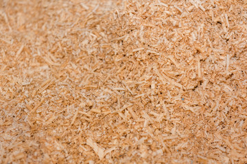 Background sawdust. Sawdust close up. Wood shavings. Tree structure