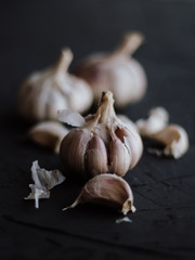 Garlic on a black background