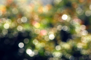 nature blurred glowing light particles of shades of green and blue