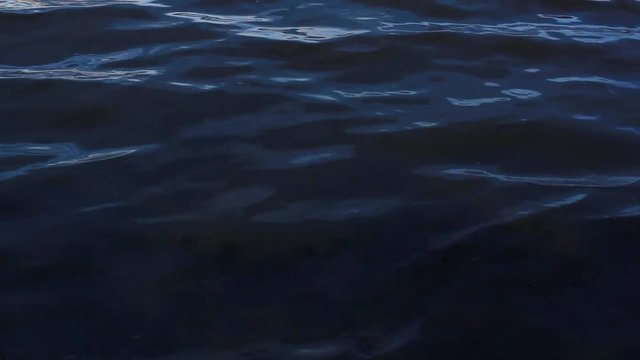 Quiet evening next to a blue water bay; dark, calm and cool water radiates. Feeling on loneliness and calmness; ripples reflect greay light. Sun has set. Footage in HD