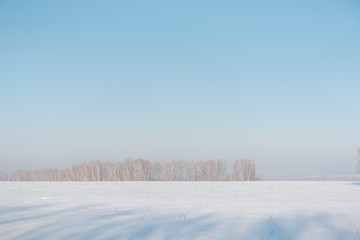 Snowy field Winter landscape. Frosty day. Russian winter nature.