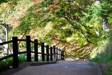 Photo of a  bridge in Hirosaki park, one of the most beautiful autumn spot in Tohoku region and Japan. 