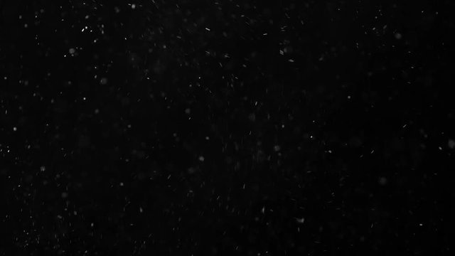 real floating particles for compositing in footage.