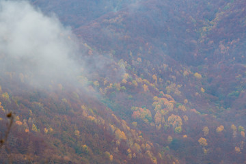 Beautiful autumn scenery in the mountains with mist clouds, pine trees and colorful foliage