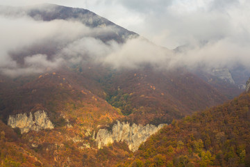 Beautiful autumn scenery in the mountains with mist clouds, pine trees and colorful foliage