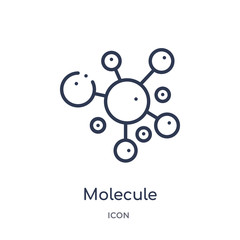 molecule icon from science outline collection. Thin line molecule icon isolated on white background.