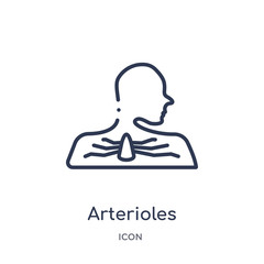 arterioles icon from sauna outline collection. Thin line arterioles icon isolated on white background.