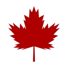 メープルリーフ