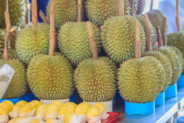 Organic durian fruit and durian flesh packed for sale at Or Tor Kor Market, one of the world’s fresh market that located nearby Chatuchak weekend market in Bangkok. © kampwit