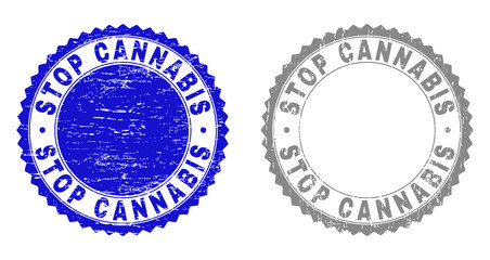 Grunge STOP CANNABIS stamp seals isolated on a white background. Rosette seals with grunge texture in blue and grey colors. Vector rubber stamp imitation of STOP CANNABIS label inside round rosette.